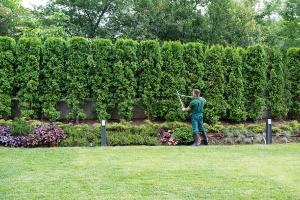 Best Tree Mulching  in Crestwood Village, NJ